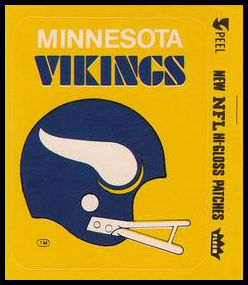 80FTAS Minnesota Vikings Helmet.jpg